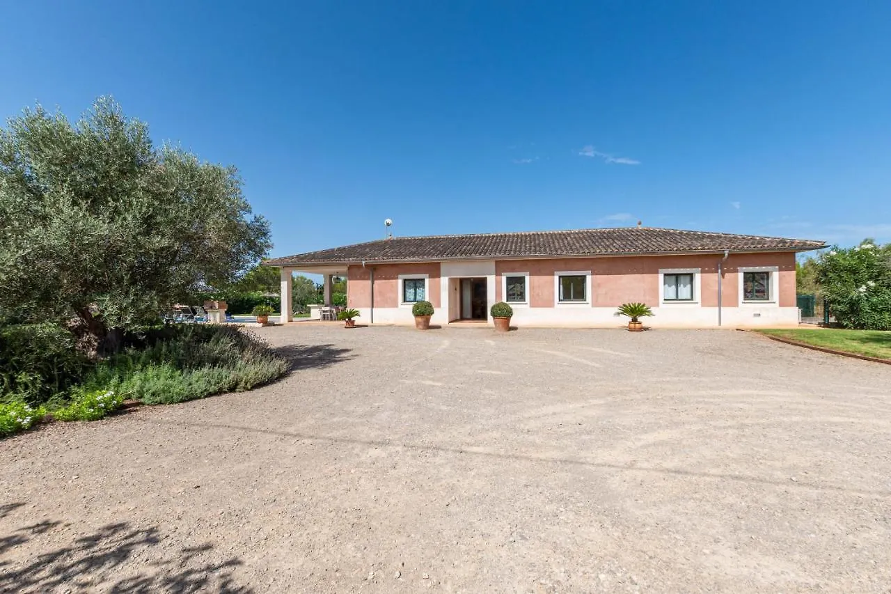 Yourhouse Romani Villa Muro